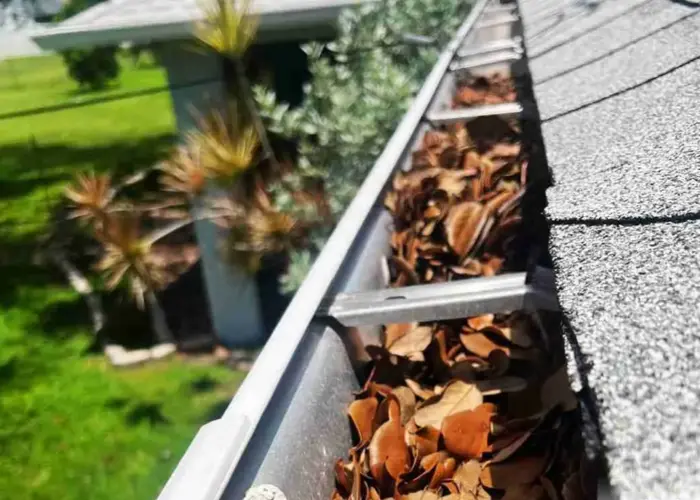 Naperville gutter cleaning home page